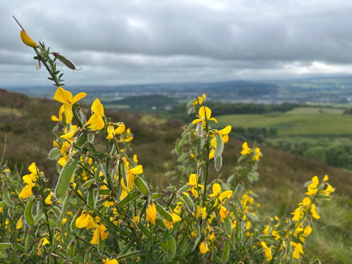 Des belles photos et des moments difficiles – Pretty pictures and hard times