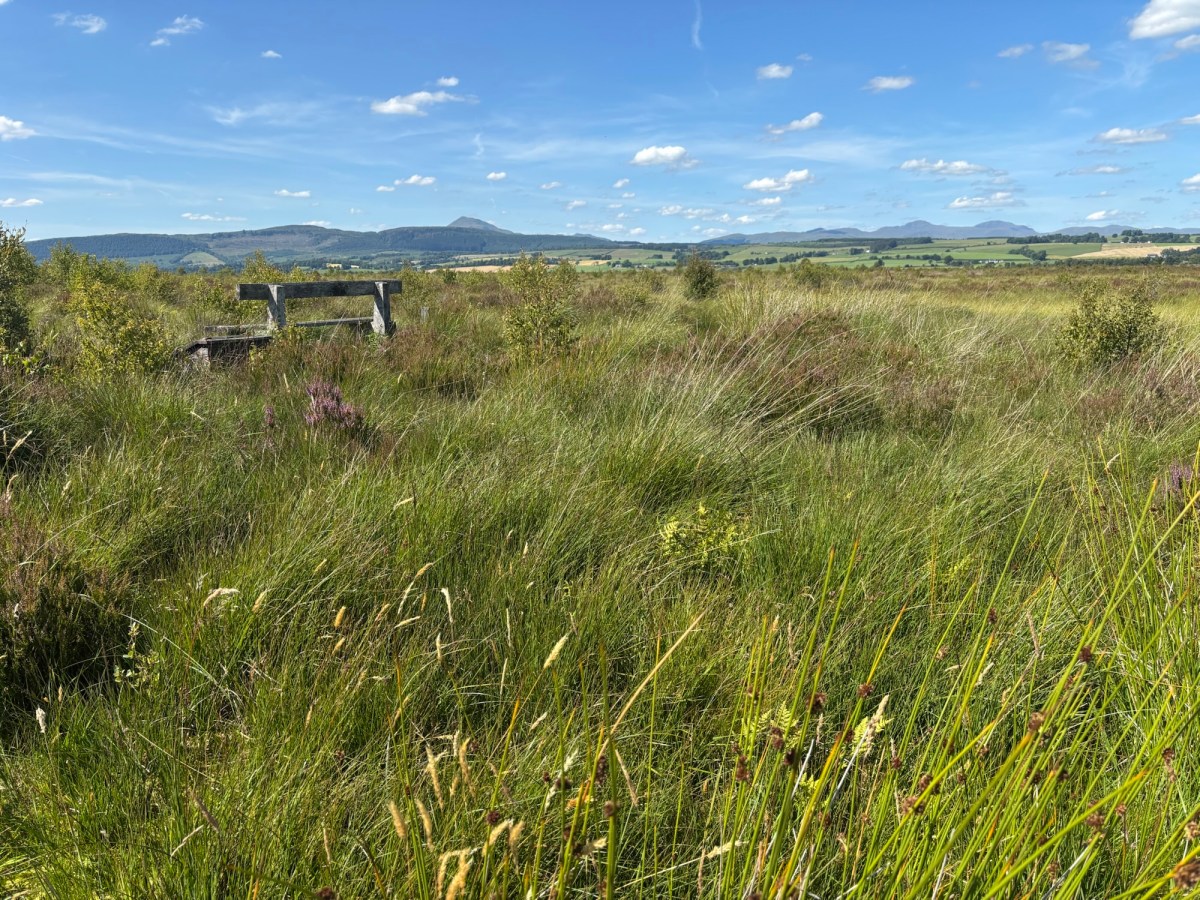 Trouver un rythme – Finding a rhythm