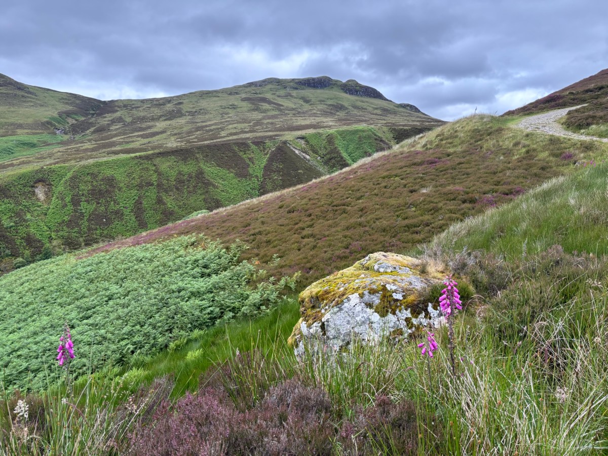 Ben Chonzie la magnifique – Ben Chonzie, the beautiful one